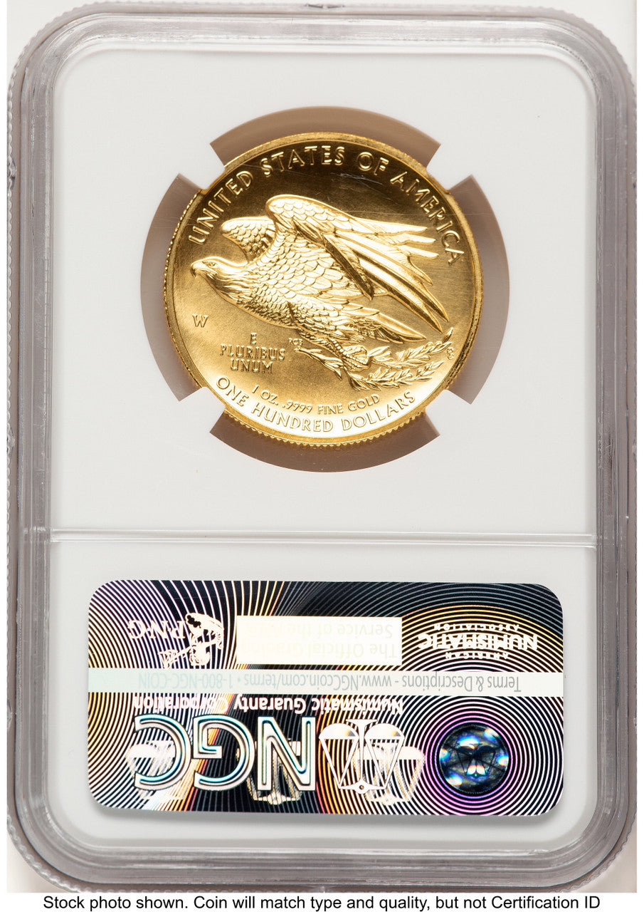 2015-W G$100 American Liberty High Relief ER 2015 HR Label NGC MS70 (781897017)