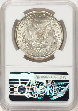 1921-S Morgan Dollar NGC MS65+ (782132029)
