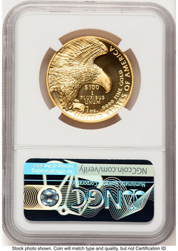 2019-W G$100 American Liberty High Relief Enhanced FDI Mike Castle NGC MS70 (782883002)