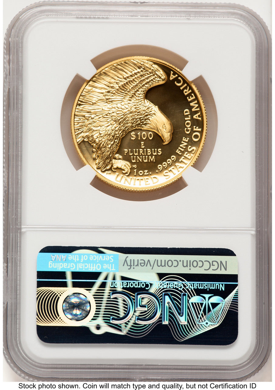 2019-W G$100 American Liberty High Relief Enhanced FDI Mike Castle NGC MS70 (782883002)