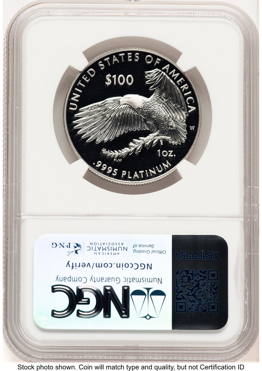 2019-W Proof Platinum Eagle 1 oz Brown Label NGC PF70