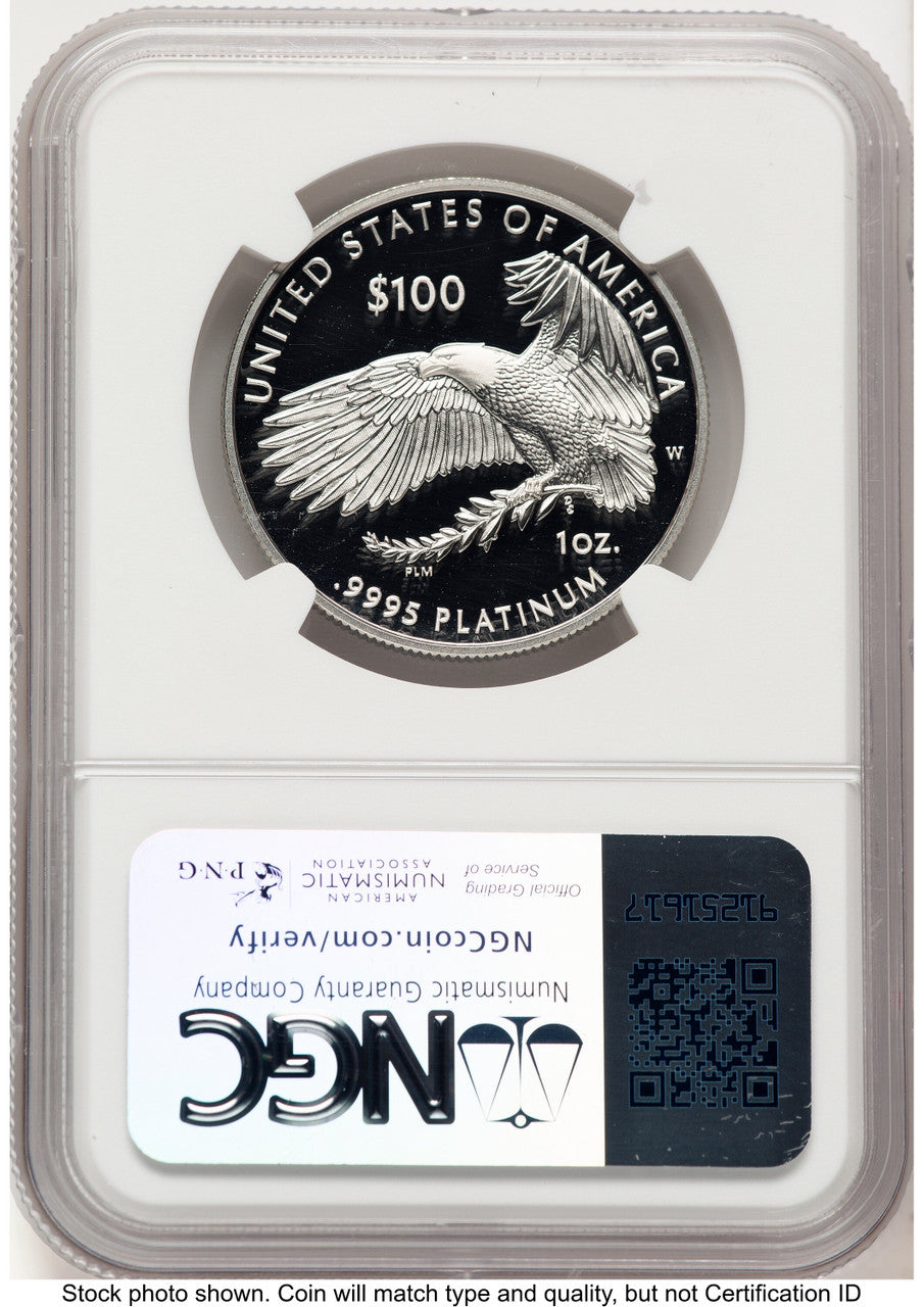 2025-W Proof Platinum Eagle 1 oz FDI Brown Label NGC PF70