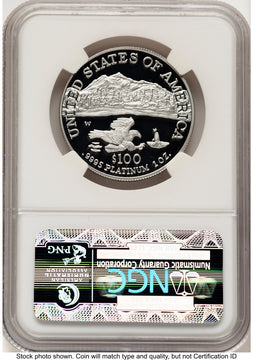 2002-W Proof Platinum Eagle 1 oz Brown Label NGC PF70