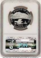 2002-W Proof Platinum Eagle 1 oz Brown Label NGC PF70