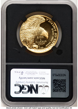2019-W G$100 American Liberty High Relief Enhanced David J Ryder TBE Label NGC MS70 (784375106)