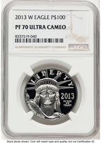 2013-W Proof Platinum Eagle 1 oz Brown Label NGC PF70