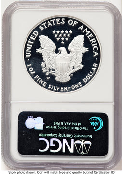 2007-W Proof Silver Eagle 1 oz Brown Label NGC PF70