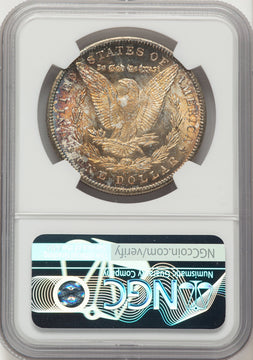 1884-CC Morgan Dollar NGC MS67