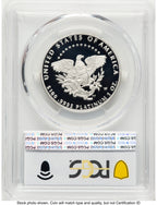 2005-W Proof Platinum Eagle 1 oz Blue Gradient PCGS PR70