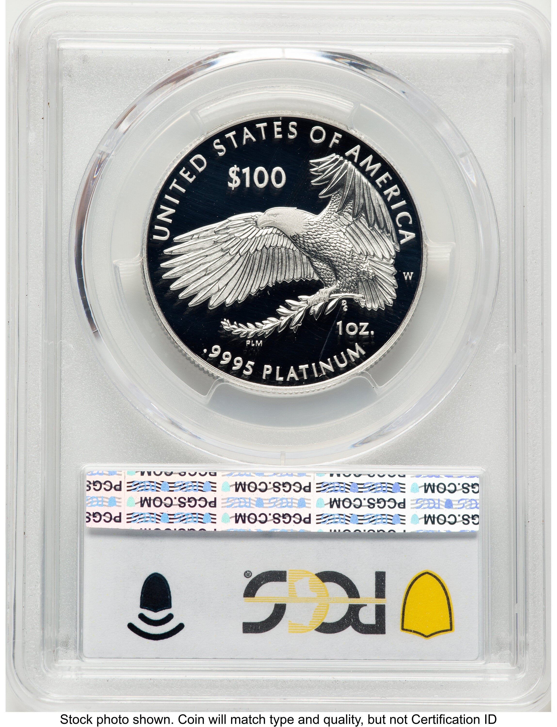 2022-W Proof Platinum Eagle 1 oz Blue Gradient PCGS PR70
