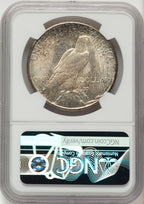 1925-S Peace Dollar NGC MS64+
