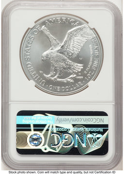 2021-W TY2 Burnished Silver Eagle 1 oz ER Eagle 35th Anniversary Label NGC MS70