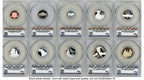 2026 10 Coin Semiquincentennial Silver Proof Set First Delivery America 250 CACG PR69