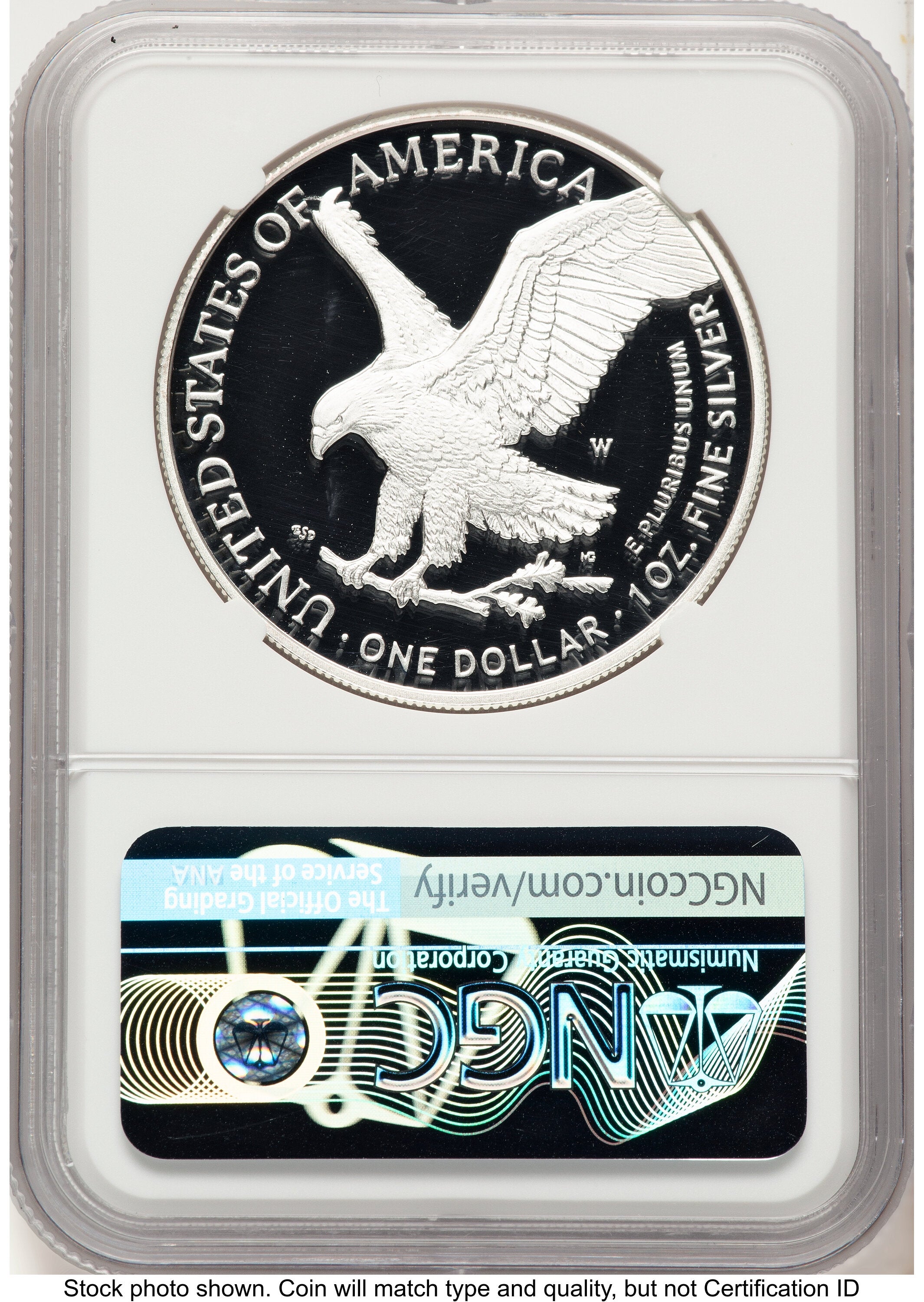 2021-W TY2 Proof Silver Eagle 1 oz FDI Eagle Mountain Label NGC PF70