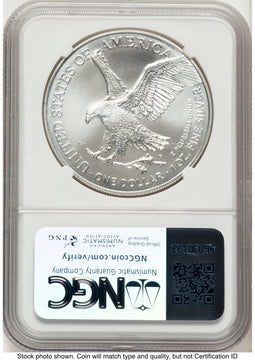 2024-(P) Silver Eagle (Privy Mark) FDI Michael Gaudioso Eagle Art NGC MS70