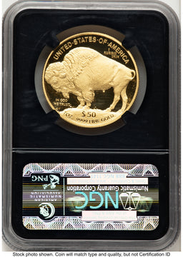 2013-W Proof Gold Buffalo 1 oz Chicago ANA Gold Buffalo Label NGC PF70