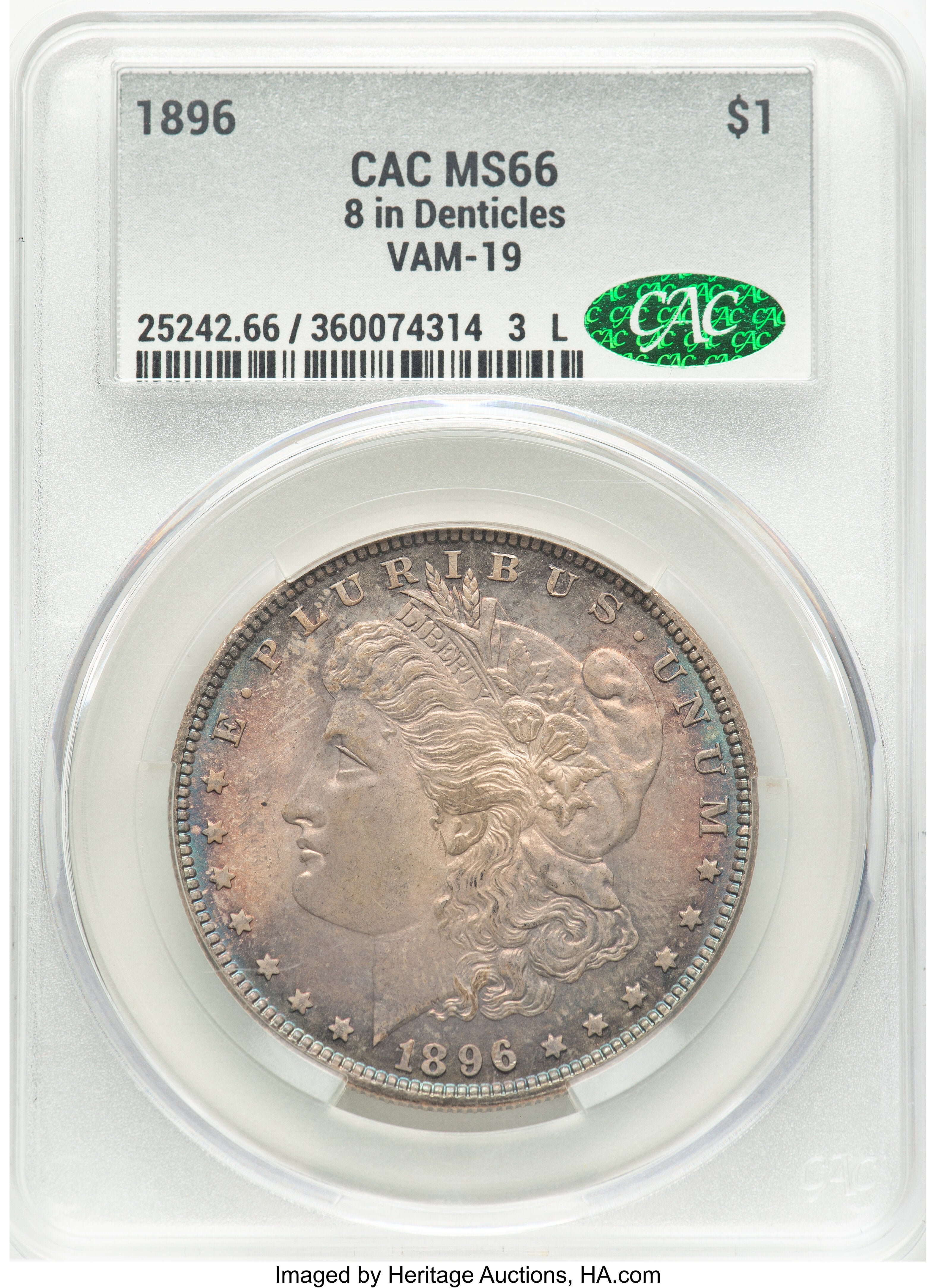 1896 $1 VAM 19 8 in Denticle Morgan Dollar CACG MS66