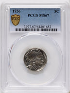 1936 5C Buffalo Nickel PCGS MS67