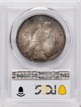 1921 Peace Dollar PCGS MS62