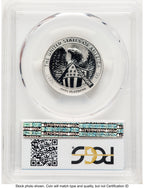 2007-W Reverse Proof Platinum Eagle 1/2 oz Blue Gradient PCGS PR70