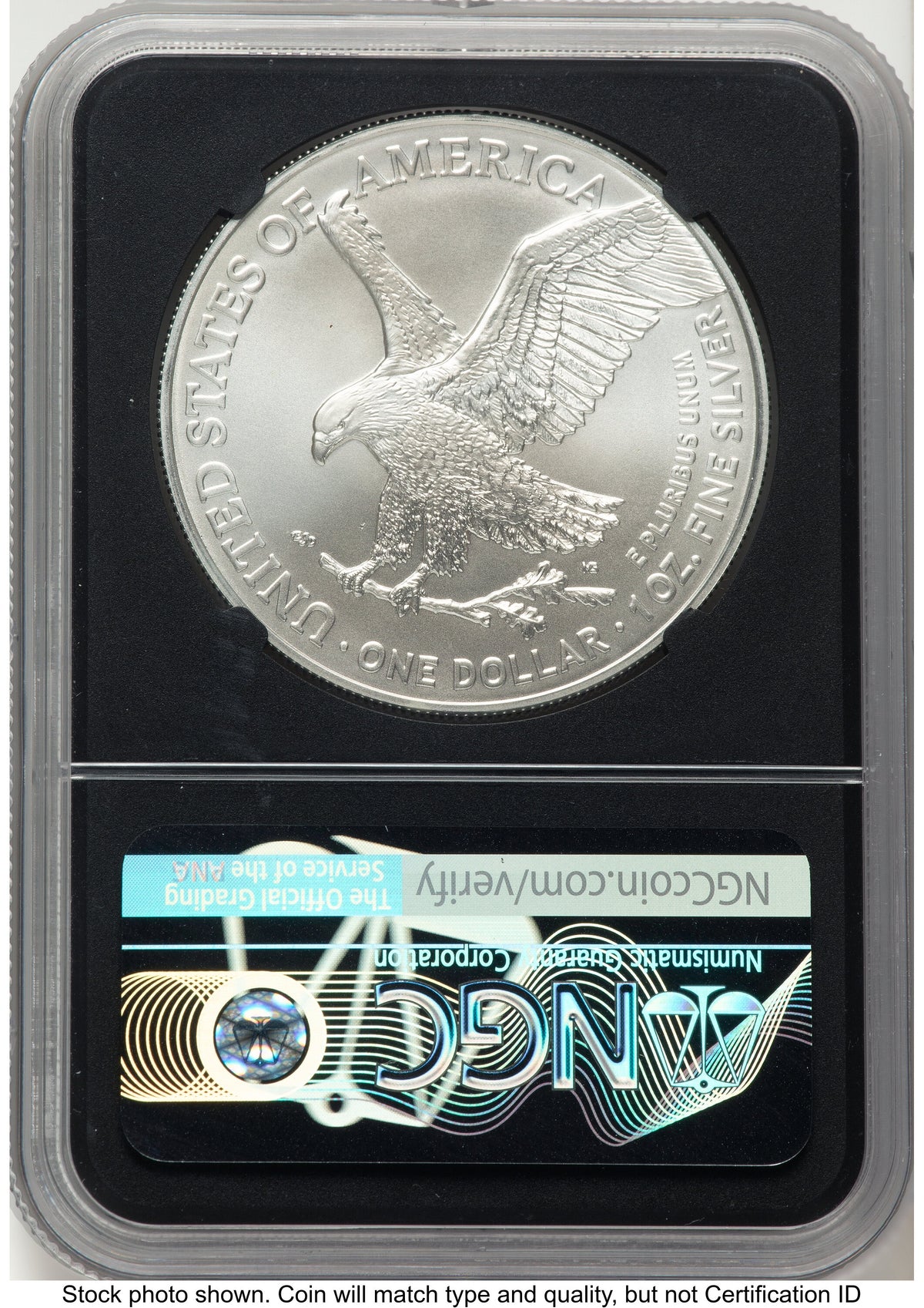 2021 Silver Eagle Type 2 FDI Michael Gaudioso NGC MS70