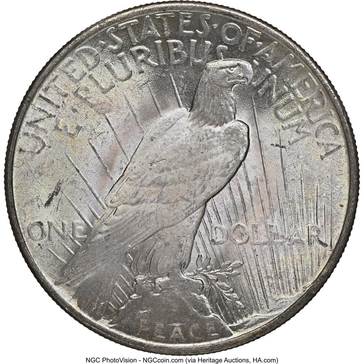 1925 CAC Peace Dollar NGC MS66