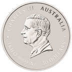2026 KILO PERTH MINT SILVER HORSE (LUNAR SERIES)